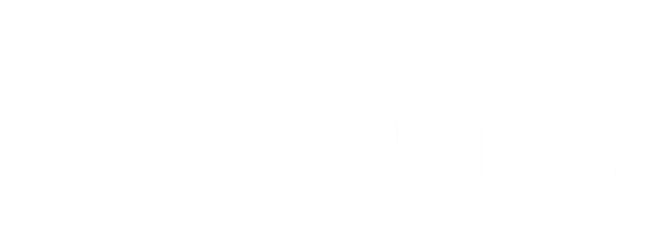dachdecker.com